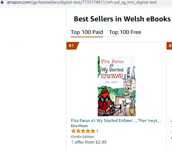 AMAZON WELSH BESTSELLER